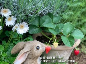 企業・団体様へアロマテラピー講座のご提案