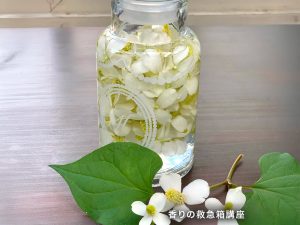 香りの薬箱講座